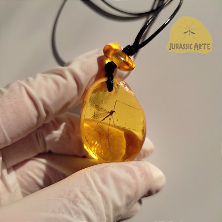 Colar Ambar Mosquito