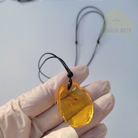Colar Âmbar Mosquito