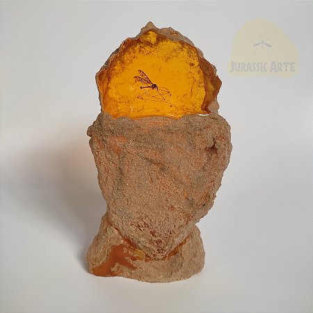 Âmbar Jurassic Park 1993