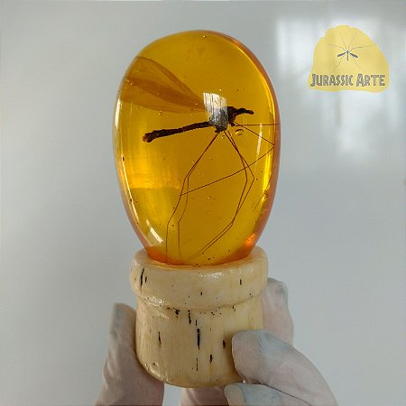 Ambar Jurassic Park John Hammond