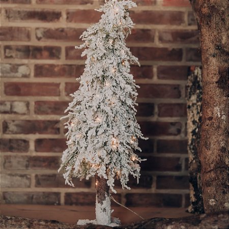 Topiaria Cedro Blanc Nevada P