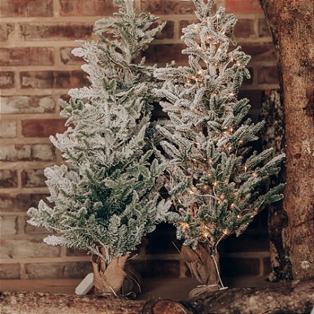 Topiaria Cedro Frost  Nevada G Juta