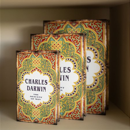 Livros-Caixa Decorativos Charles Darwin G