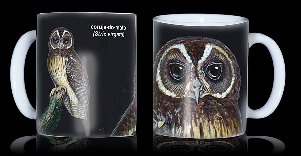 Caneca Ornitologia e Arte - Coruja-do-mato (Strix virgata)