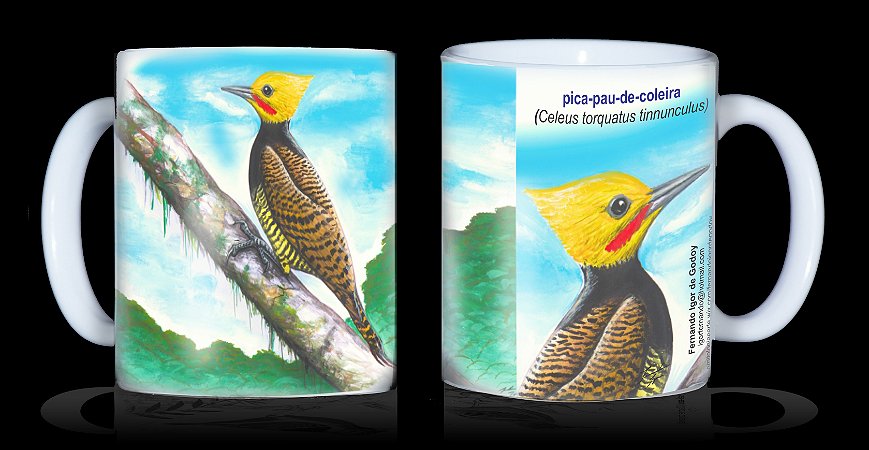 Caneca Ornitologia e Arte - Pica-pau-de-coleira (Celeus torquatus tinnunculus)