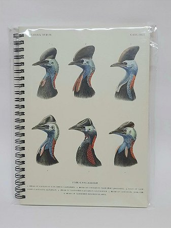 Caderno Pautado Casuares