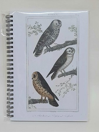 Caderno Pautado Corujas