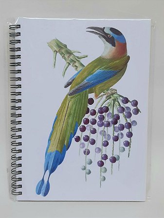 Caderno Pautado Udu (Momotus)