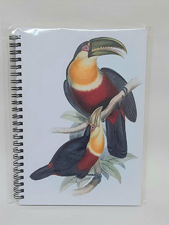Caderno Pautado Tucano-de-bico-verde
