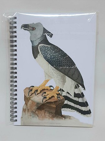 Caderno Meia Pauta Harpia