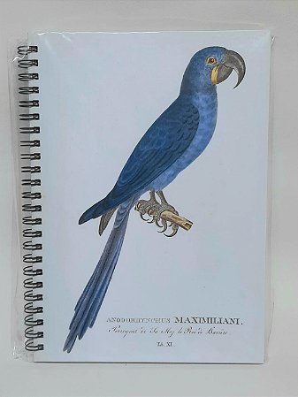 Caderno Meia Pauta Arara-azul