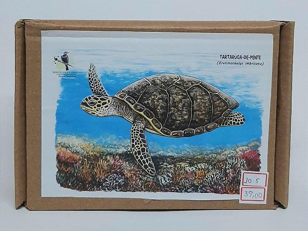 Quebra-Cabeça Ornitologia e Arte - Tartaruga-de-pente - 16 Peças