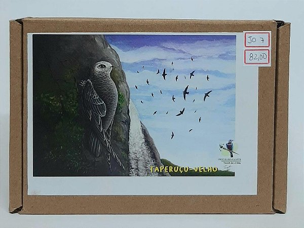 Quebra-Cabeça Ornitologia e Arte - Taperuçú-velho - 252 Peças