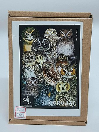 Quebra-Cabeça Ornitologia e Arte - Corujas - 120 Peças