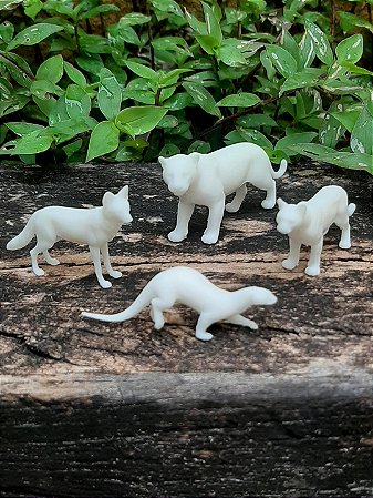 Miniaturas da Fauna Brasileira - Carnívoros