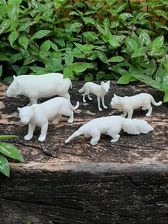 Miniaturas da Fauna Brasileira - Big Five