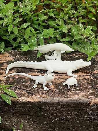 Miniaturas da Fauna Brasileira - Sangue Frio