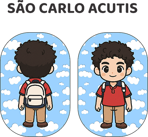 Almofada Naninha São Carlo Acutis Almofadinha