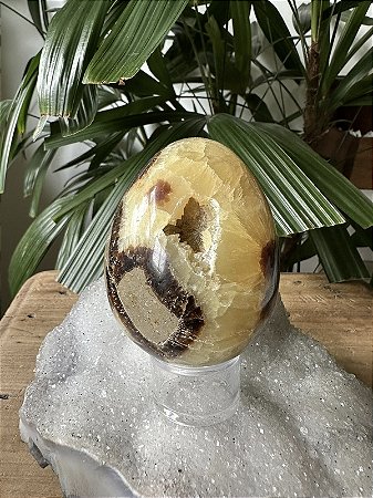 Septariana Polida - "Ovo de Dragão" | Cristal de Elevação Espiritual e Proteção