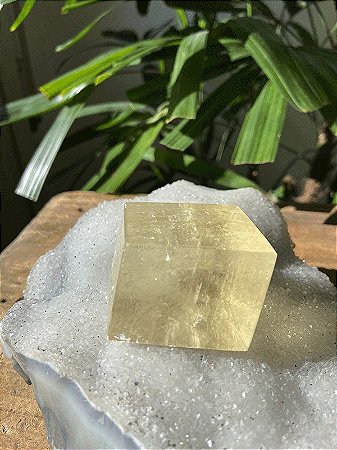 Calcita Ótica Amarela Polida | Cristal de Conexão com a Essência