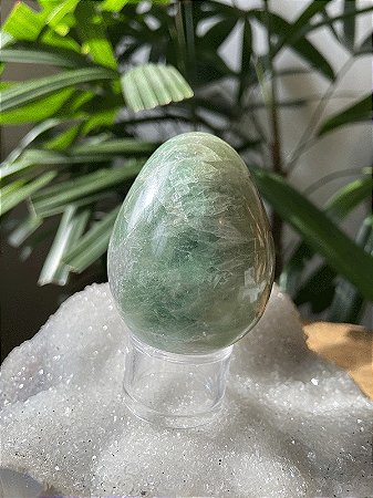 Fluorita Lapidada | Cristal de Intuição e Concentração