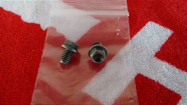 Parafuso + arruela do visor de nivel de oleo motor Husqvarna WR