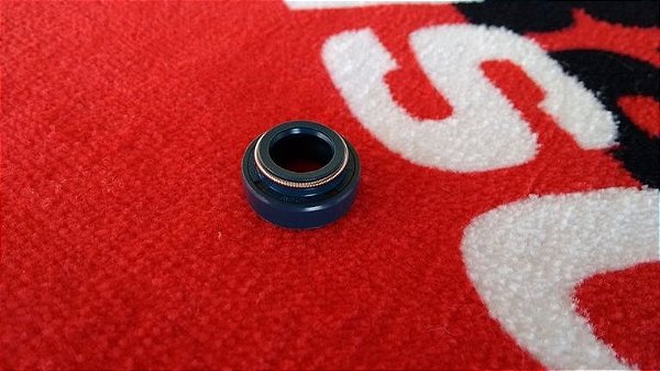 Retentor da bomba d'água Husqvarna WR 125