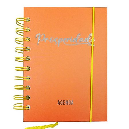 Agenda Permanente 160 Folhas 12,9cm x17,9cm - Prosperidade