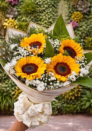 Buque de 4 Girassóis