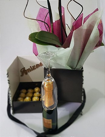 Orquidea 1 Haster -  Chandon - 16 Ferreros