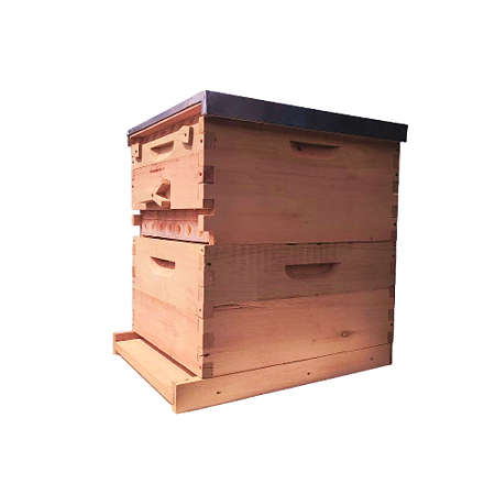 Colmeia Automática Mauá c/ 7 Autoframes