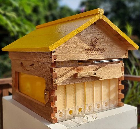 Caixa Melgueira Automática Iraí em Madeira com 7 Quadros Automáticos