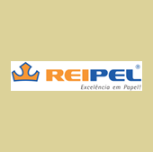 PAPEL COLOR SET (CARMEM) CHAMPAGNE 48x66 CM PACOTE COM 20 FOLHAS REIPEL