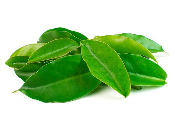Ora-pro-nóbis molho 120 g