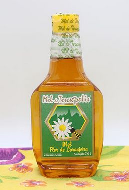 Mel Florada de Laranjeiras 350 g