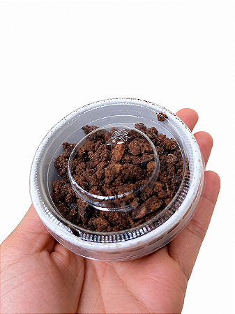 Nibs com canela 35 g