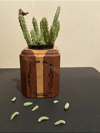 Cachepô ou Cachepot em madeira (09)