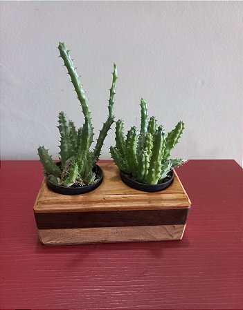 Cachepô ou Cachepot em madeira (31)