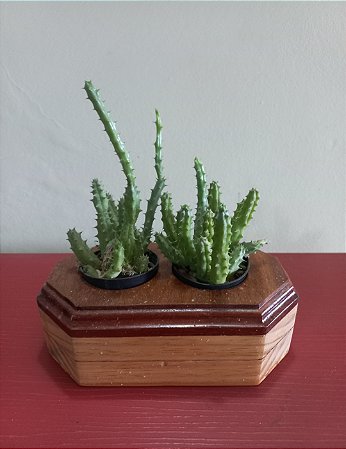 Cachepô ou Cachepot em madeira (32)