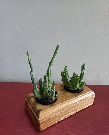 Cachepô ou Cachepot em madeira (30)