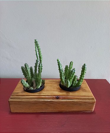 Cachepô ou Cachepot em madeira (28)