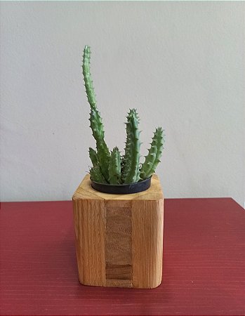 Cachepô ou Cachepot em madeira (06)