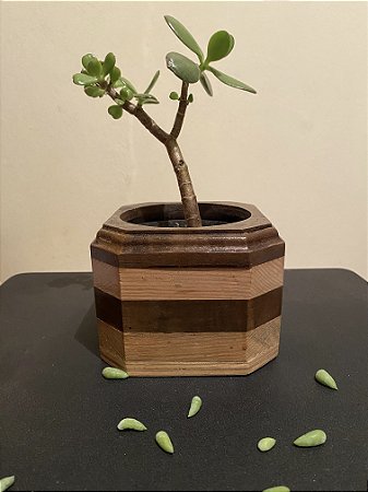 Cachepô ou Cachepot em madeira (22)