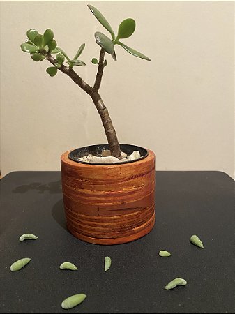 Cachepô ou Cachepot em madeira (13)