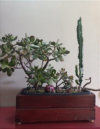 Cachepô ou Cachepot em madeira (Jardineira 01)