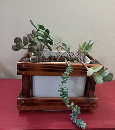 Cachepô ou Cachepot em madeira (F-06)