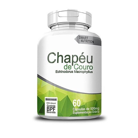 Chapéu de Couro 500mg 60 cápsulas - 4 Elementos