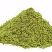 Louro em Pó (100g)