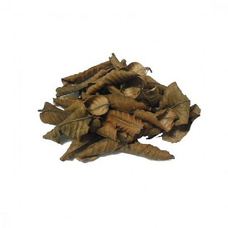 Folha de Goiabeira (100g)