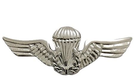 Breve de Metal Paraquedista( PQDT)